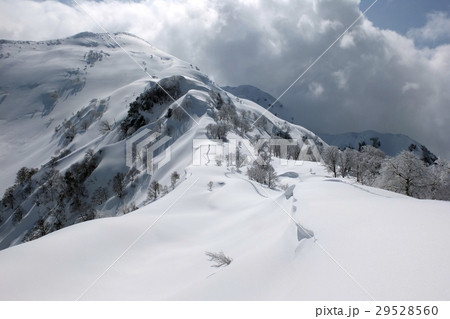 新雪の八海山 29528560