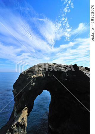 象 ゾウ ぞう 29528676