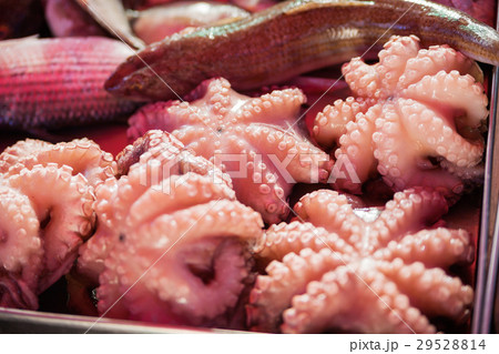 Boxes full of freshly caught mackerel and octopus. 29528814