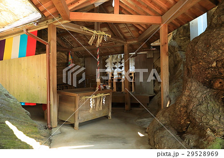 鹽竃神社 29528969