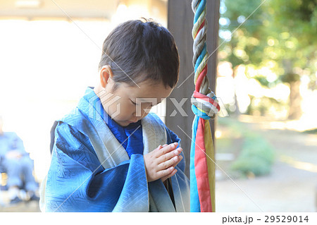 七五三詣 七五三詣 29529014