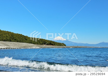青空の三保の松原からの富士山風景 青空の三保の松原からの富士山風景 29529094