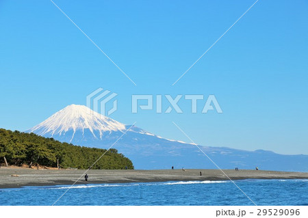 景勝地　三保の松原 29529096