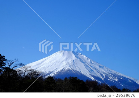 富士山の風景・山中湖村 29529676