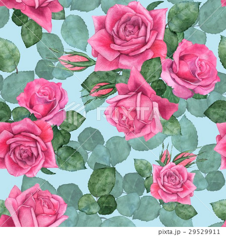 Roses 7 29529911