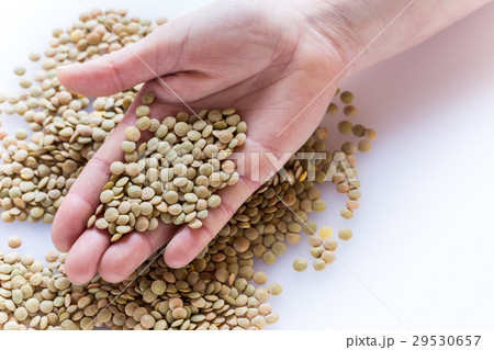Hand holding lentils isolated on white background 29530657