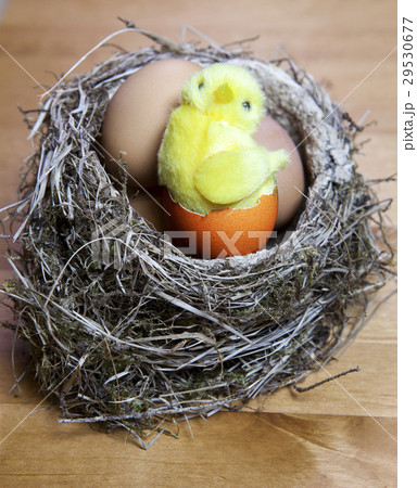 toy chicken sits in a  nest on Easter eggs 29530677