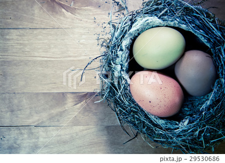 bright Easter eggs in a nest,with effect retro bright Easter eggs in a nest,with effect retro 29530686