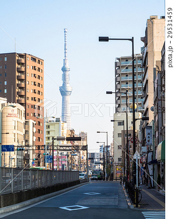 南千住より東京スカイツリーを望む 南千住より東京スカイツリーを望む 29531459