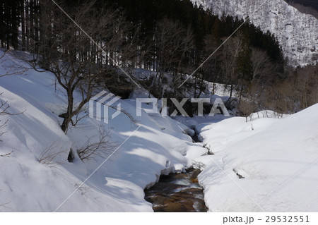 雪の中の清流 雪の中の清流 29532551