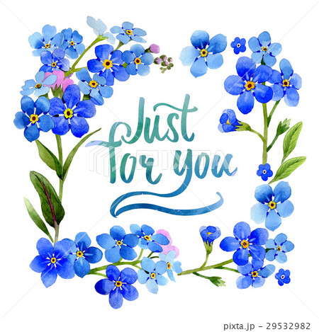 Wildflower myosotis arvensis flower frame in a 29532982