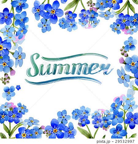 Wildflower myosotis arvensis flower frame in a 29532997