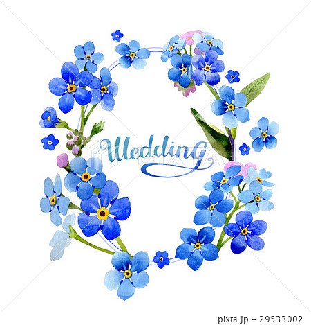 Wildflower myosotis arvensis flower wreath in a Wildflower myosotis arvensis flower wreath in a 29533002