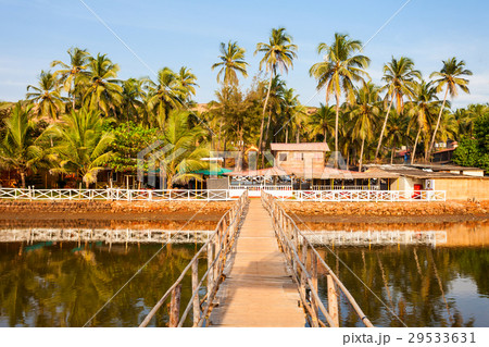 Mandrem beach Goa India Mandrem beach Goa India 29533631