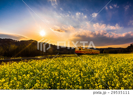 小湊鉄道  29535111