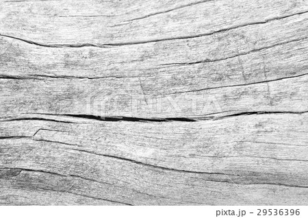texture of bark wood use as natural background 29536396