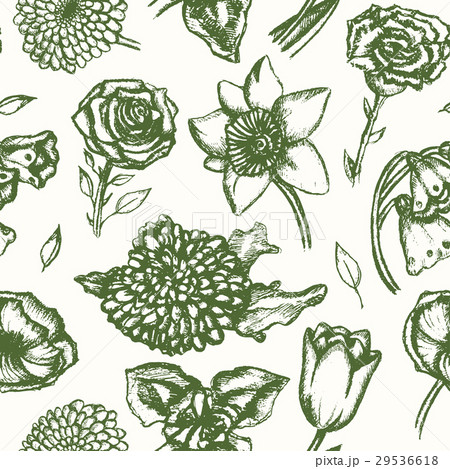 Beautiful Flowers - monochromatic hand drawn 29536618