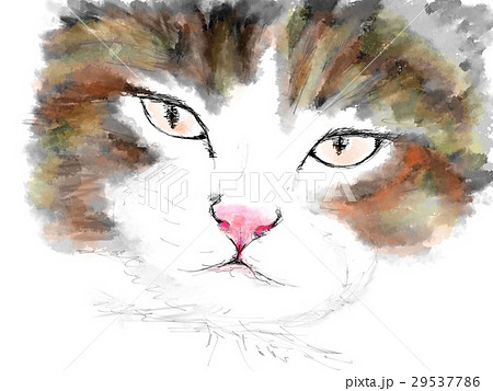 猫 イラスト 猫 イラスト 29537786