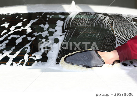 洗車　手洗いグローブ 29538006