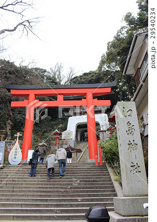 江の島神社の鳥居 江の島神社の鳥居 29540234