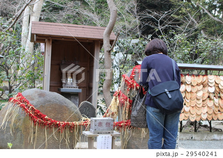 葛原岡神社 29540241