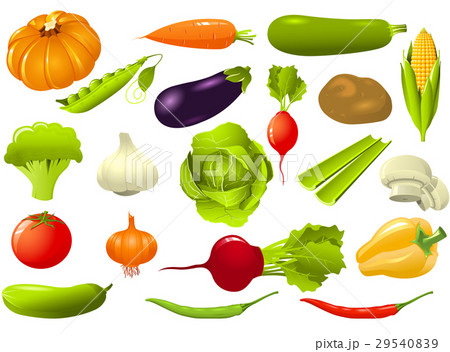 Vegetables set - cucumber, tomato, radish 29540839