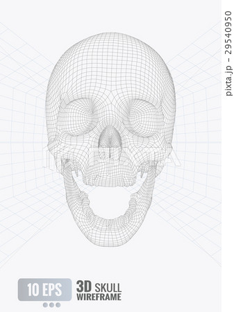 3D wireframe skull front view on white  BG 29540950