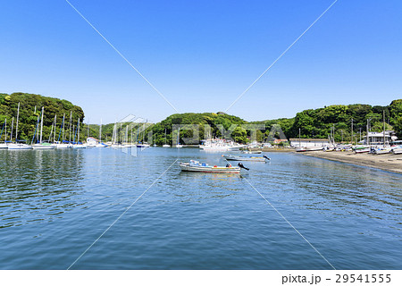 春の小網代湾 青空 新緑 春の小網代湾 青空 新緑 29541555