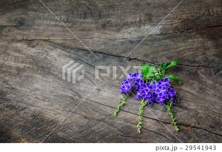 violets and purple flowers on old wooden table 29541943