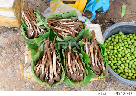 Termite Mushroom    in banana leaf that sold  29542042