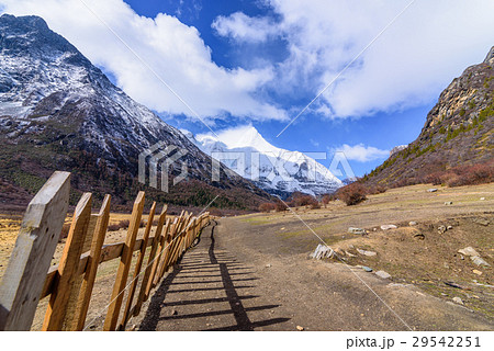 Wooden fence or wooden wall for yak farm 29542251