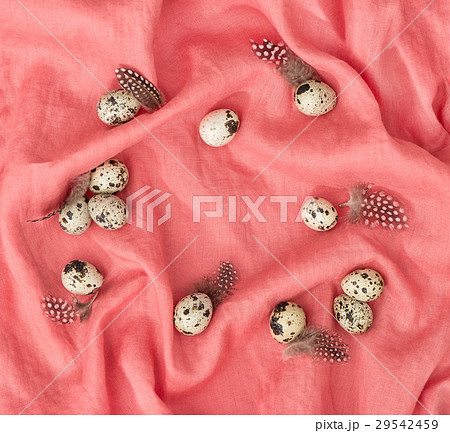 Quail eggs feathers decoration pink textile backgr 29542459