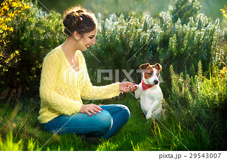 Young beautiful woman holds a hand over the pet 29543007