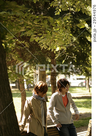 若い男性 29544976