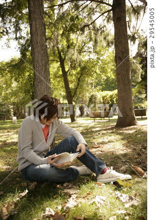 木陰の男性 29545005