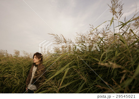 草原の男性 草原の男性 29545021