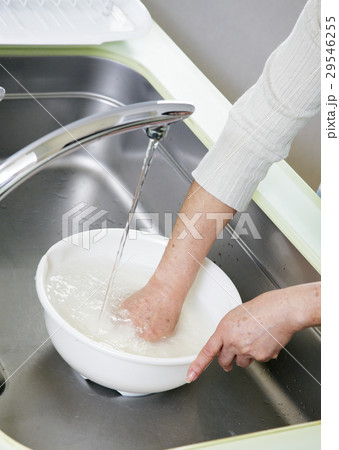 米を研ぐ女性の手元 米を研ぐ女性の手元 29546255