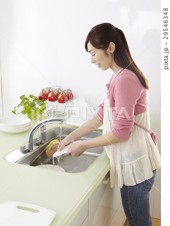 皿を洗う女性 29546348