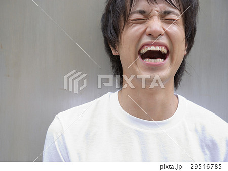 笑う男性 29546785