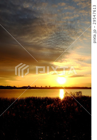 印旛沼の夕景 29547613