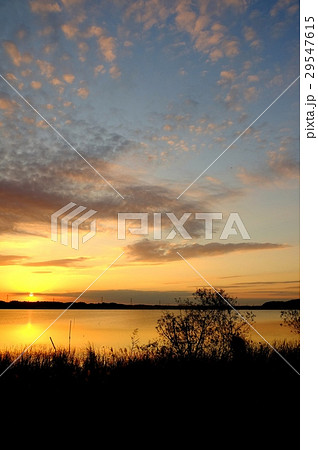 印旛沼の夕景 29547615