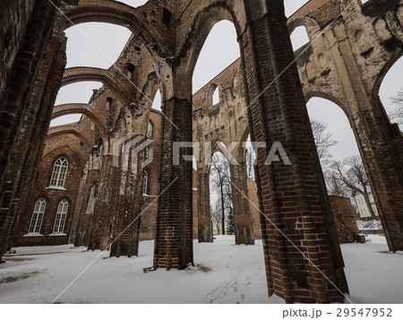 エストニア・タルトゥ大学博物館 (大聖堂跡)  / Tartu University Museum 29547952