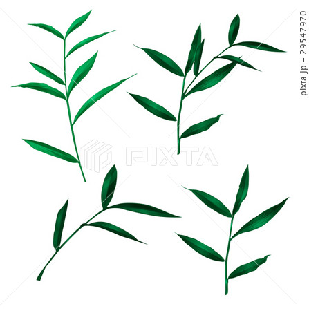 green leaf set 29547970