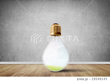 Light bulb in room Light bulb in room 29549145