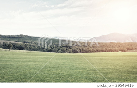 Green summer paradise Green summer paradise 29549419