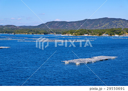 コバルトブルーの海と養殖筏　横山を臨む英虞湾クルーズ 伊勢志摩　中望遠 c 29550691