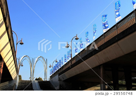 光が丘公園　ふたご橋 29550748