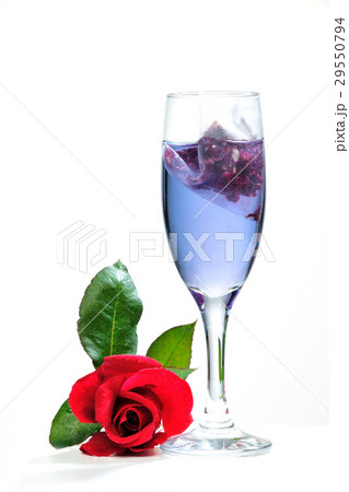 薔薇 バラ科 バラ 29550794