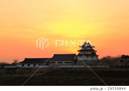 関宿城（せきやどじょう）夕景 29550844