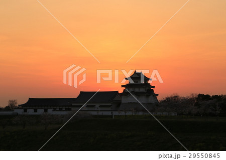 関宿城（せきやどじょう）夕景 29550845